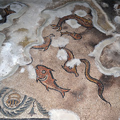 mosaico fauna marina Villa Romana Salar